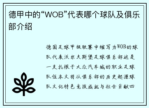 德甲中的“WOB”代表哪个球队及俱乐部介绍
